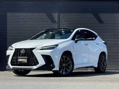 2022 Lexus NX — миниатюра 52