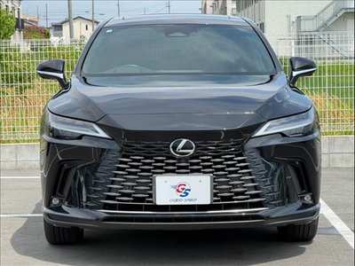 2024 Lexus RX 缩略图 15