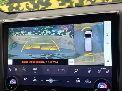 2025 Toyota ALPHARD — фото 3