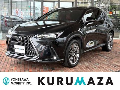 LEXUS NX - 1