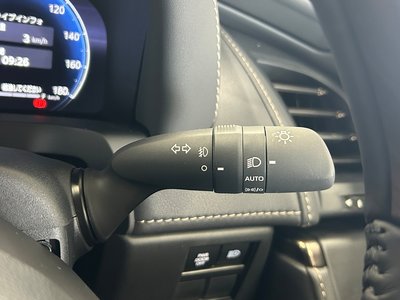 2026 TOYOTA ALPHARD 缩略图 28
