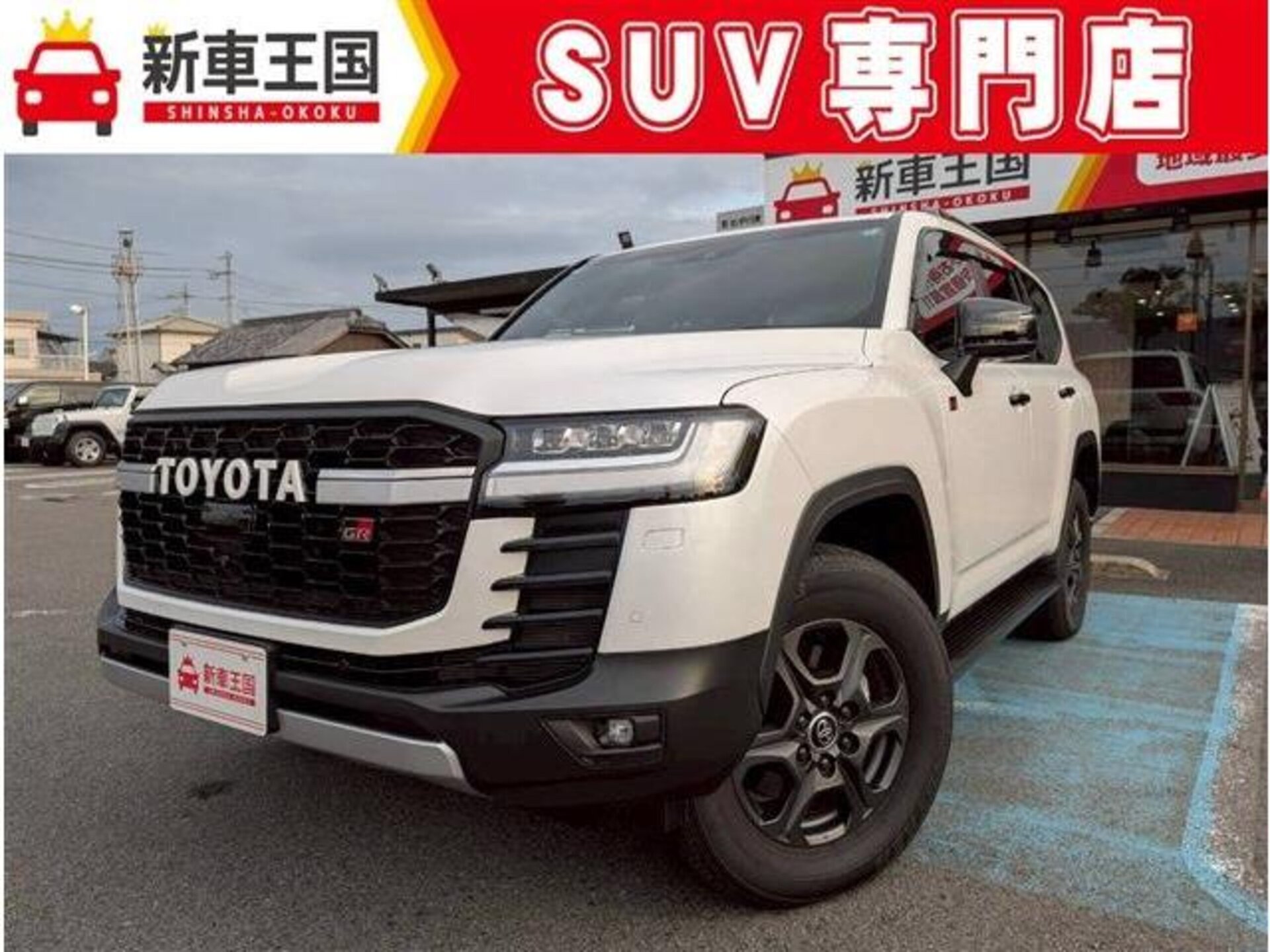 TOYOTA LAND CRUISER 300 - View 1