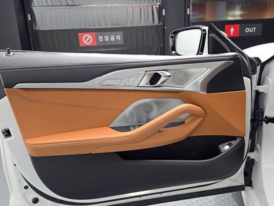 2020 BMW 8 SERIES — миниатюра 18