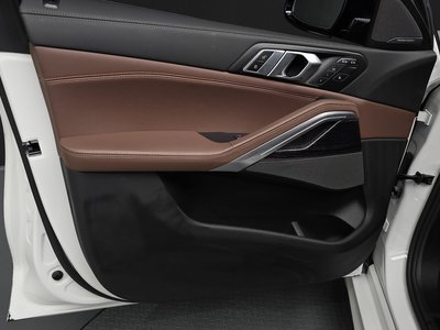 صورة مصغرة 14 لـ 2025 BMW X6