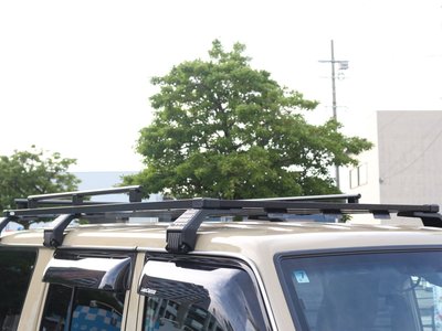 2025 Toyota LAND CRUISER 70 缩略图 47