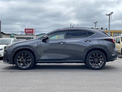 2024 Lexus NX — миниатюра 44