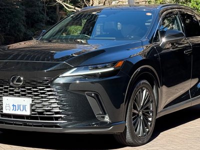 LEXUS RX - 6