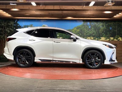 صورة مصغرة 28 لـ 2022 Lexus NX