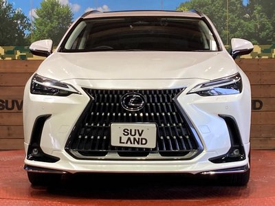 صورة مصغرة 14 لـ 2022 Lexus NX