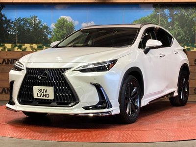 صورة مصغرة 27 لـ 2022 Lexus NX