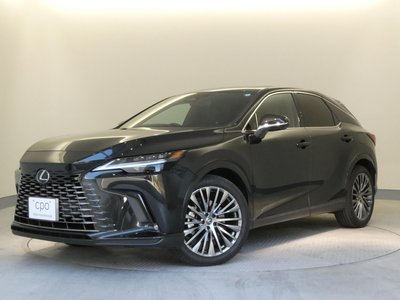 LEXUS RX - 1