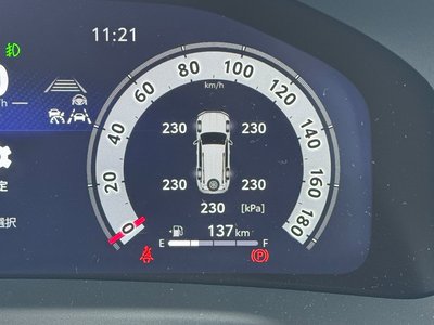 TOYOTA LAND CRUISER 300 - 5