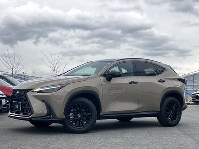 LEXUS NX - 1