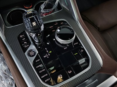 2020 BMW X6 thumbnail 12
