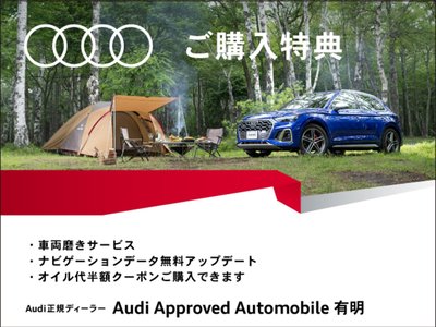 2025 AUDI A7 SPORTBACK 缩略图 22