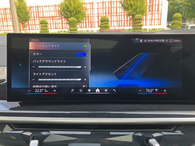 2024 BMW X6 thumbnail 35