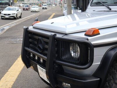 2008 Mercedes-BENZ G-CLASS 缩略图 66