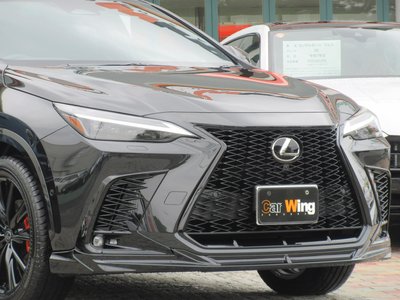 LEXUS NX - 6