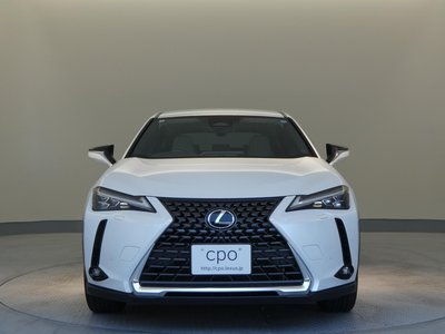 2024 Lexus UX 缩略图 13