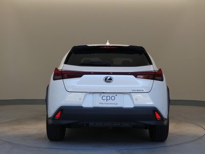 2024 Lexus UX 缩略图 31