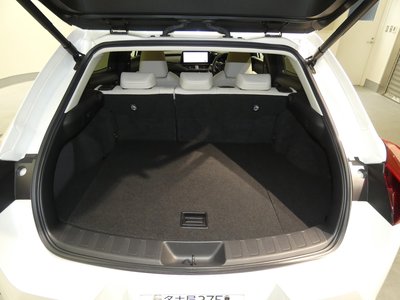 2024 Lexus UX 缩略图 38