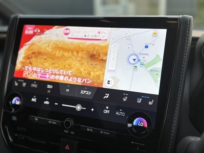 2025 TOYOTA ALPHARD 缩略图 15