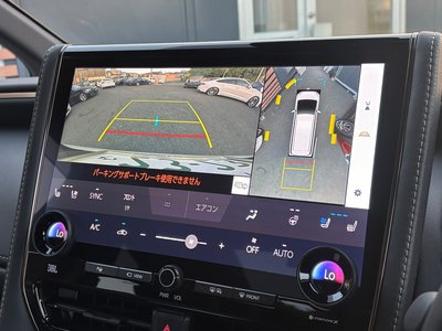 2025 TOYOTA ALPHARD 缩略图 16
