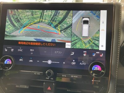 2024 Toyota ALPHARD 照片 6