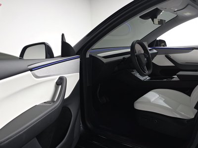 2025 Tesla MODEL Y 缩略图 13