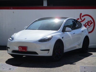 TESLA MODEL Y - 1