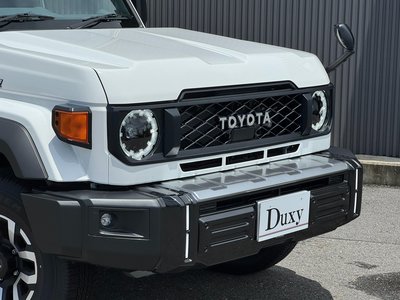2025 Toyota LAND CRUISER 70 缩略图 11