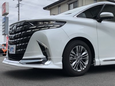 2024 TOYOTA ALPHARD — миниатюра 13