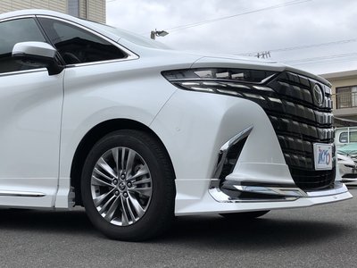 2024 TOYOTA ALPHARD — миниатюра 12