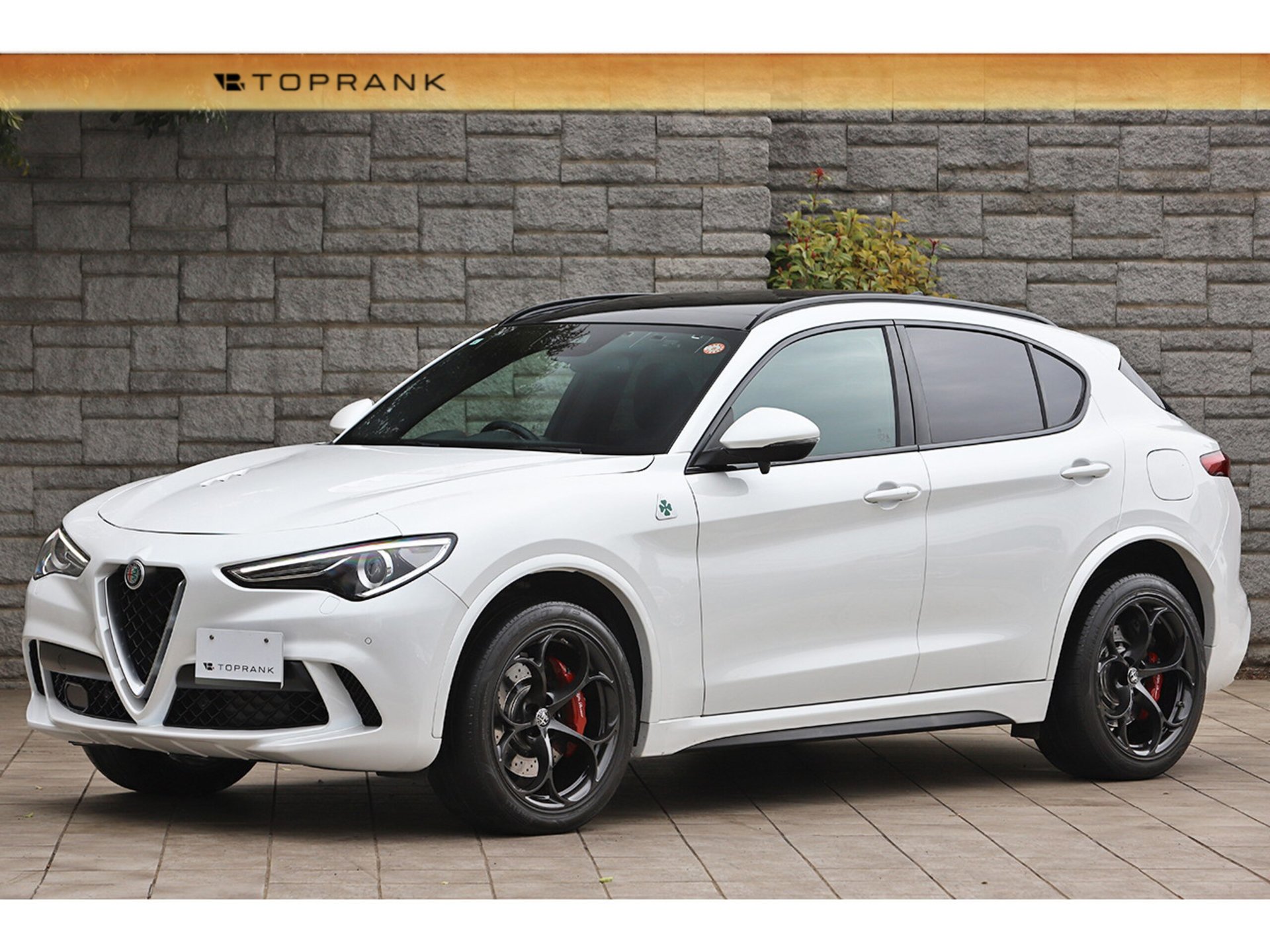 ALFA ROMEO STELVIO - View 1