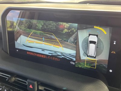 TOYOTA LAND CRUISER 250 - 6