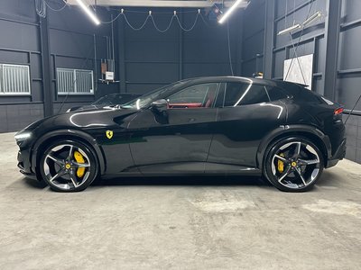 FERRARI PUROSANGUE - 9