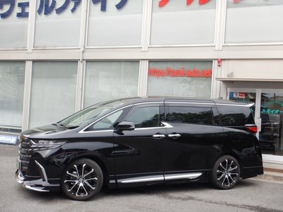 TOYOTA ALPHARD - 3