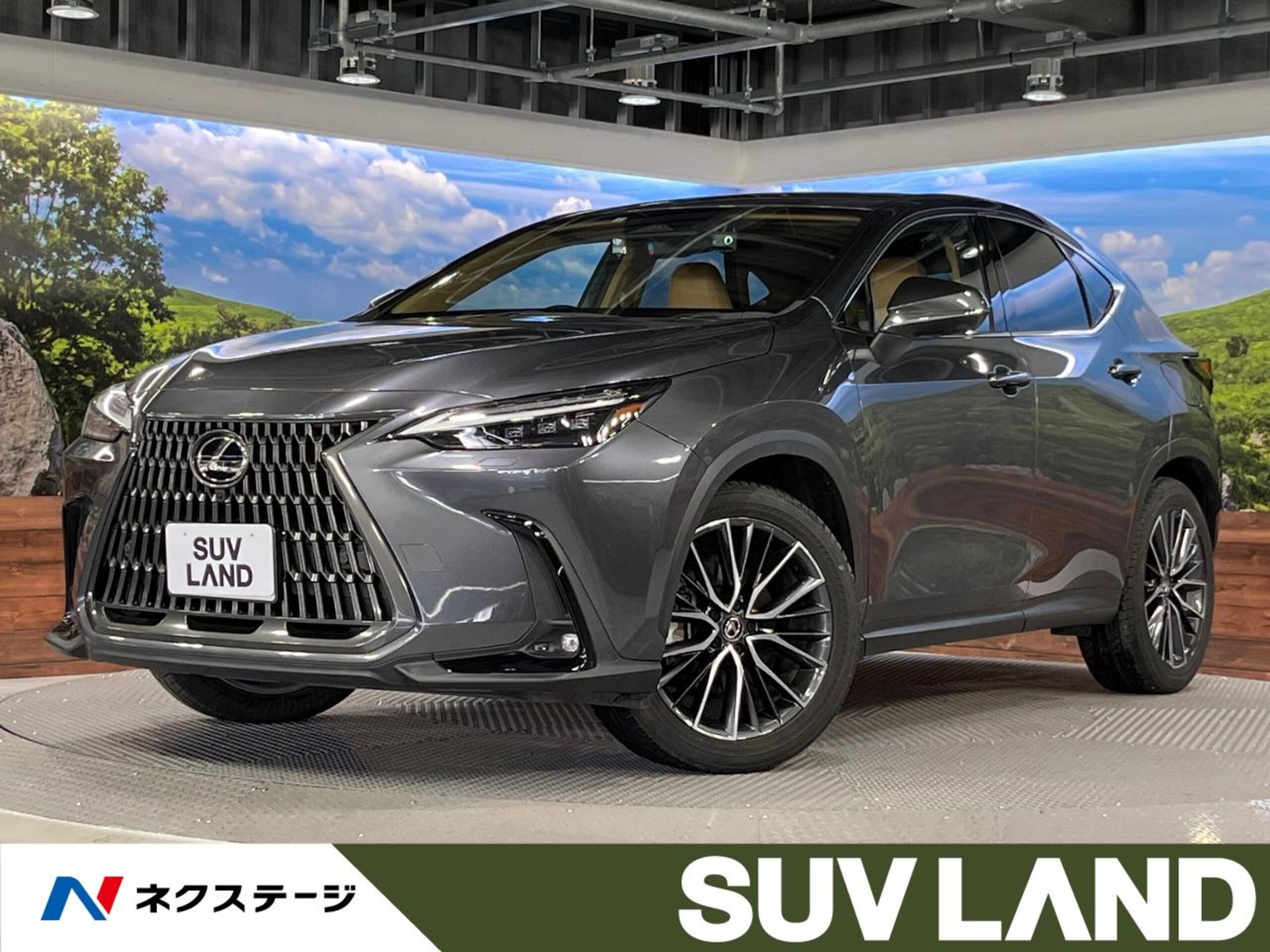LEXUS NX - View 1