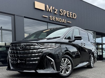 2026 TOYOTA ALPHARD — миниатюра 11