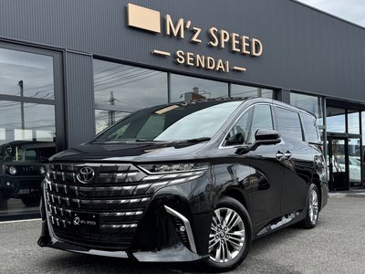 2026 TOYOTA ALPHARD — миниатюра 12