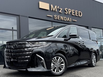2026 TOYOTA ALPHARD — миниатюра 13