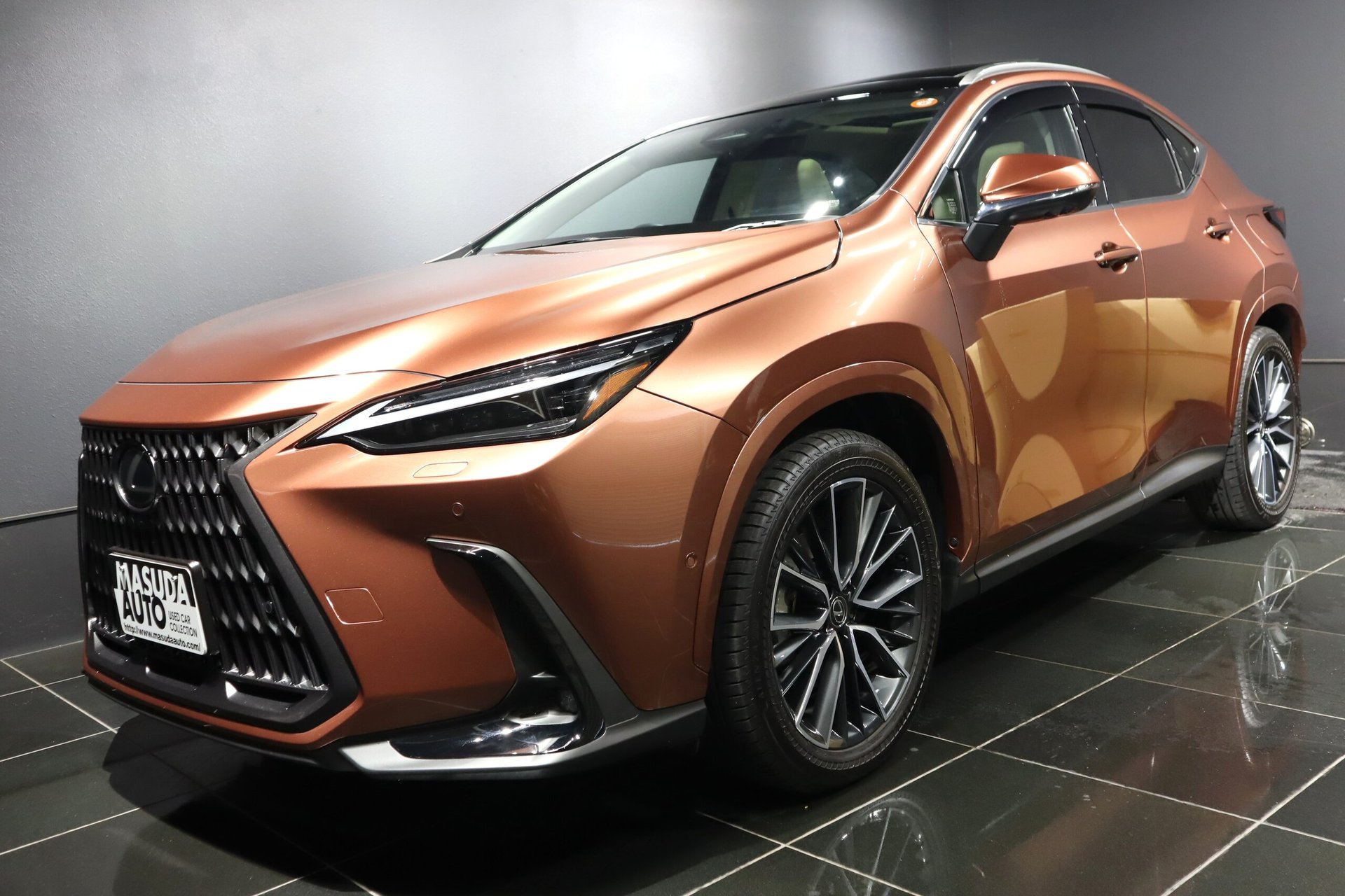 LEXUS NX - View 1