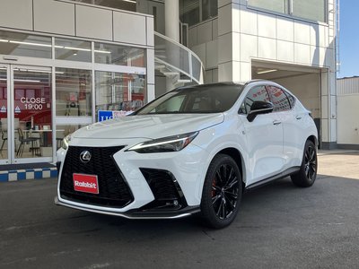 LEXUS NX - 1