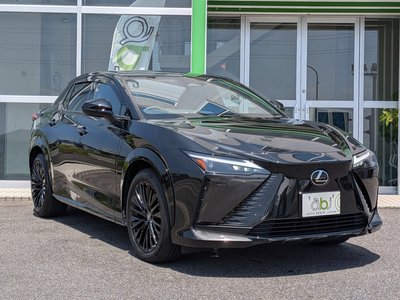 2023 Lexus RZ photo 2