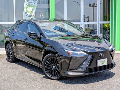 2023 Lexus RZ photo 1