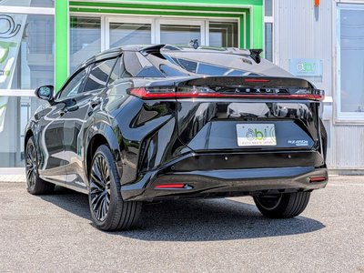 صورة مصغرة 22 لـ 2023 Lexus RZ