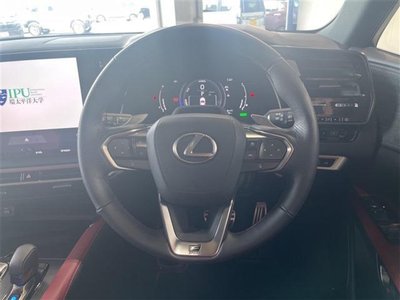 2024 Lexus RX photo 9