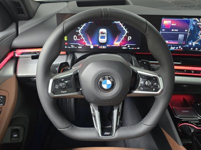 2025 BMW 5 SERIES thumbnail 18