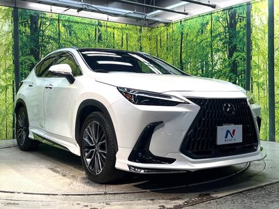 2023 Lexus NX 缩略图 16
