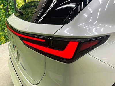 2023 Lexus NX 缩略图 34